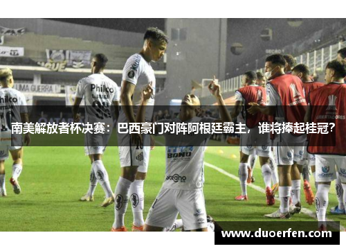 南美解放者杯决赛：巴西豪门对阵阿根廷霸主，谁将捧起桂冠？