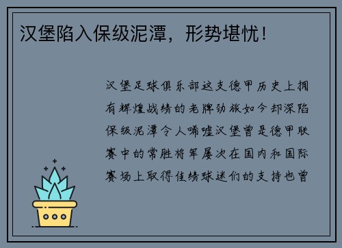 汉堡陷入保级泥潭，形势堪忧！